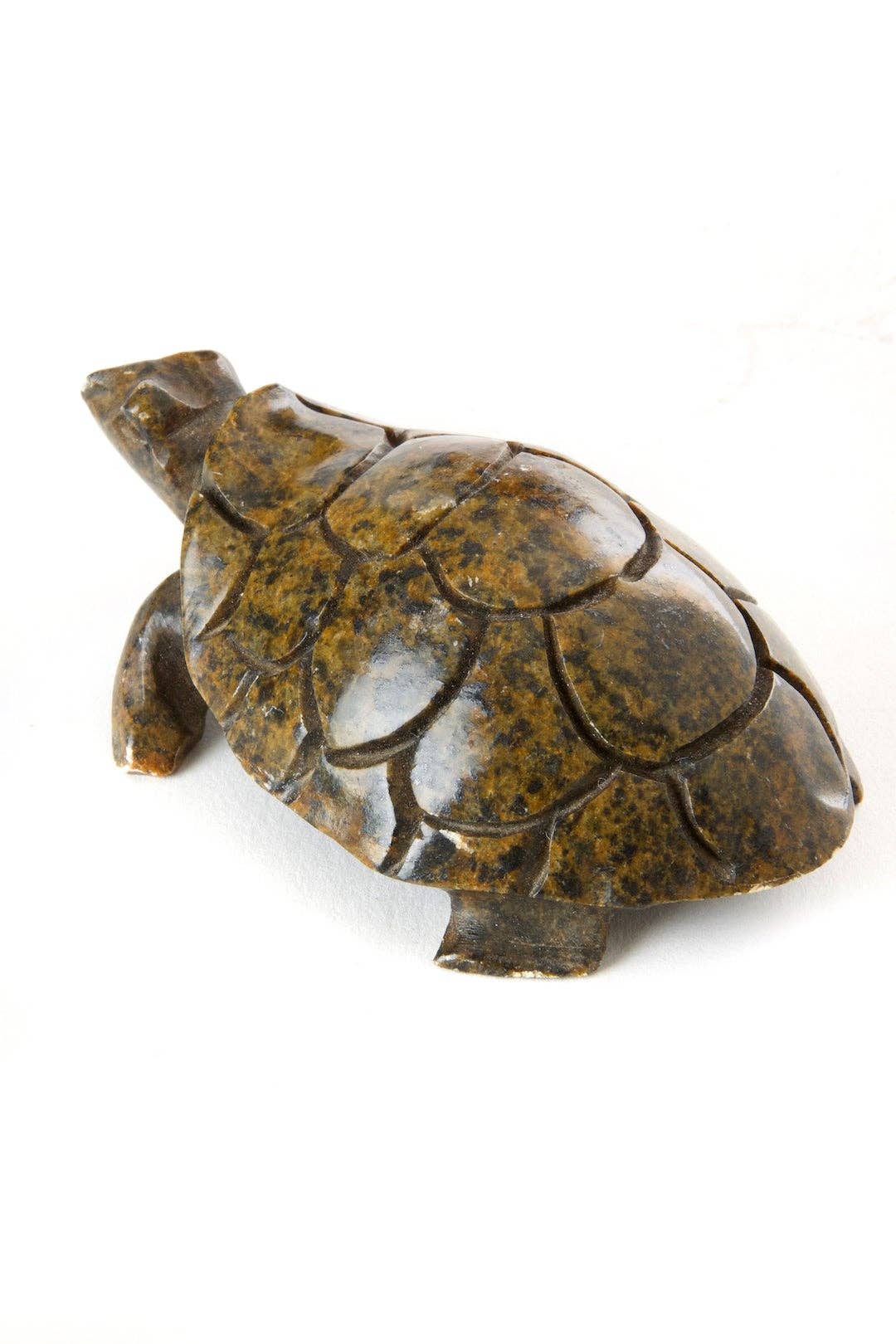 Stone Box Turtle Sculpture from Zimbabwe